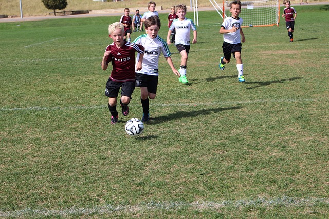 队的内外线 队的内外线