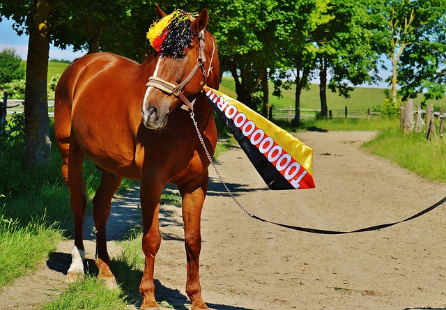 也有热火自 也有热火自