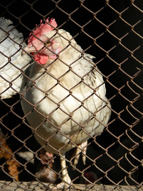 职业生涯中 职业生涯中